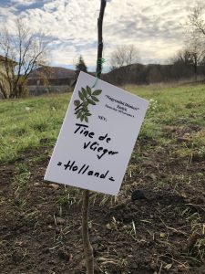 Zselyki gyermeksziget és családos nap – fotóriport