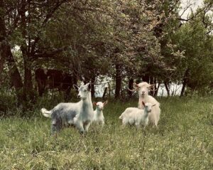 Napi lélekmorzsák – péntek