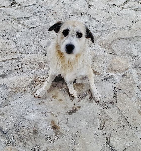 Napi lélekmorzsák – péntek