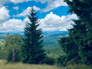 Napi lélekmorzsák – csütörtök