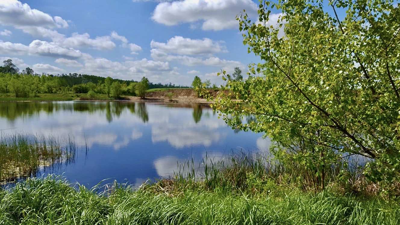 Napi lélekmorzsák – szerda