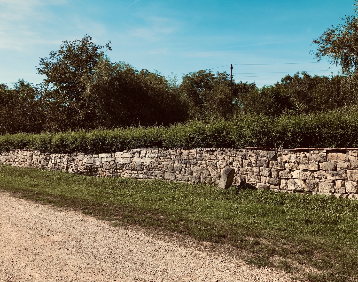 Napi lélekmorzsák – szombat