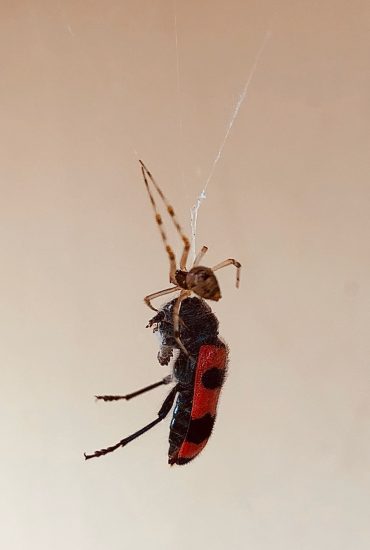 l20200728